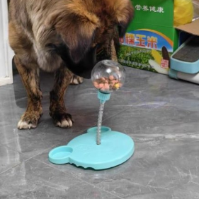 A dog standing on a gray tiled floor next to a light blue pet toy feeder with a clear ball on a spring.